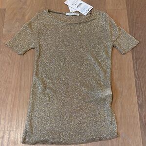 Zara Gold Glitter Short sheer  Sleeve Top